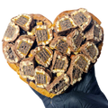 PRE-ORDER! Moederdag box groot Cookie hart Lion brownie